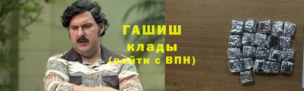 метадон Инта