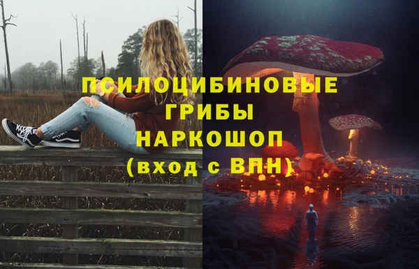 Альфа ПВП Заводоуковск