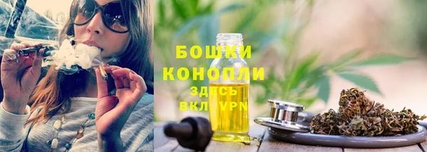 спайс Ельня