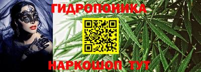 гашишное масло Аргун