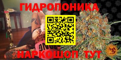 круглые Апшеронск